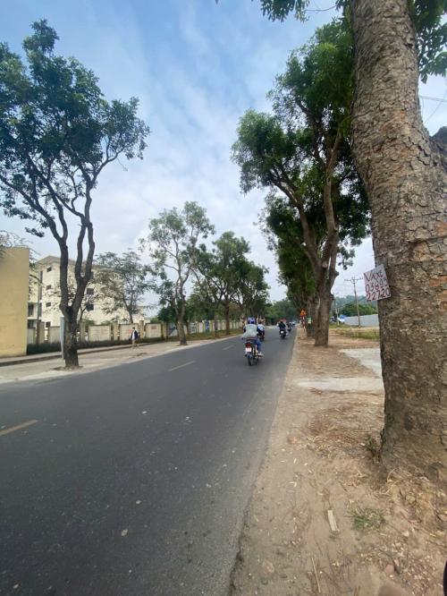 Siêu phẩm 4 tầng sát khu tên lửa Bình Tân, hẻm xe hơi, sở hữu ngay hôm nay!